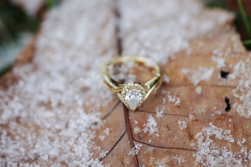 Pear shaped diamond engagement ring with a halo sitting on a frosty leaf.