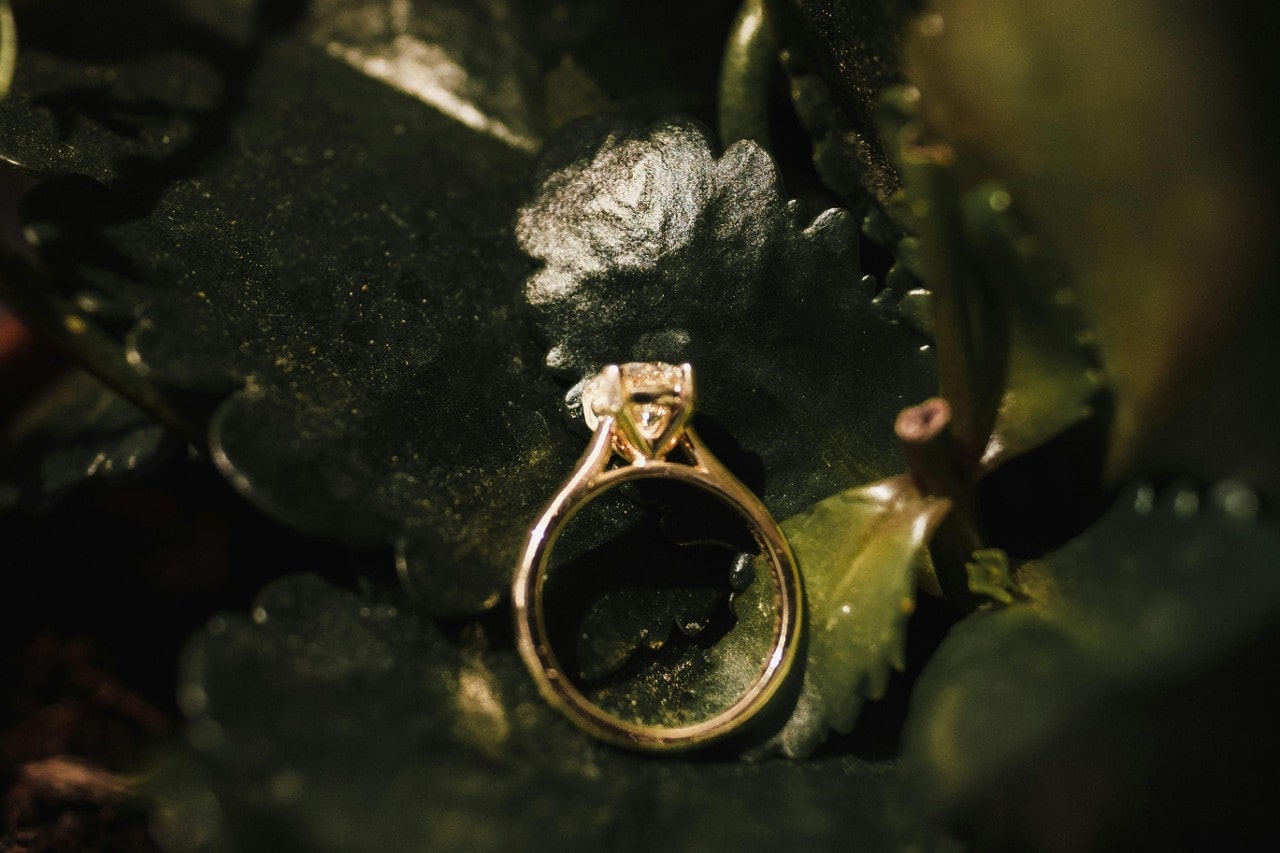 a yellow gold solitaire engagement ring on a bed of green leaves